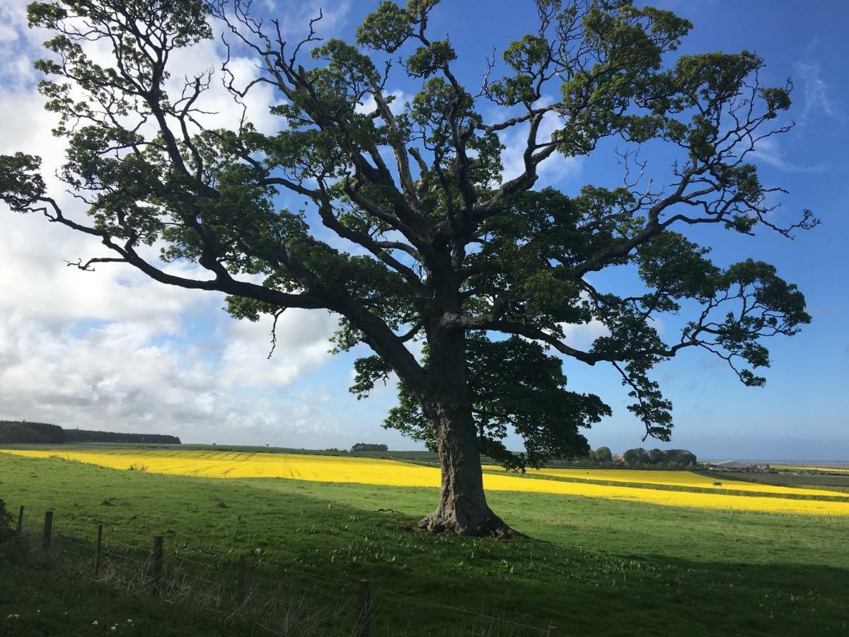 Buckton Farmhouse Belford Esterno foto