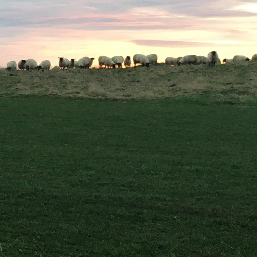 Buckton Farmhouse Belford Esterno foto